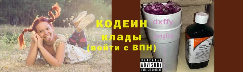 Кодеиновый сироп Lean Purple Drank  наркотики  МЕГА ССЫЛКА  Гудермес 